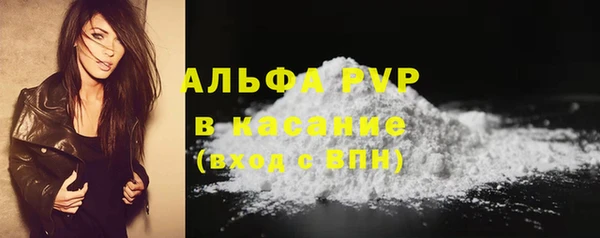 СК Володарск