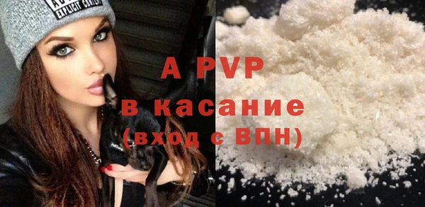 прущие грибы Нижний Тагил