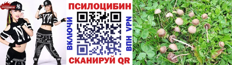 Галлюциногенные грибы мухоморы  Гаджиево 